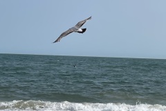 Shabbat on the Beach, 6/6/25