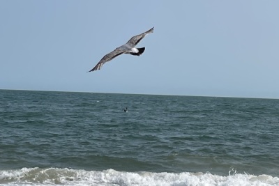 IMG_3178